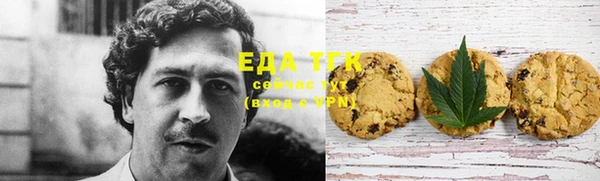 гидра Бородино