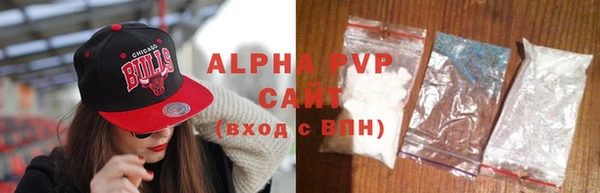 гидра Бородино