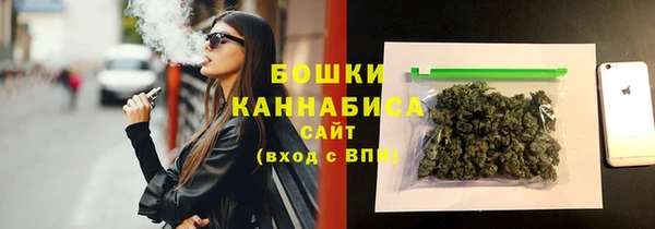 гидра Бородино