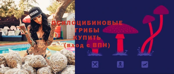 spice Бронницы