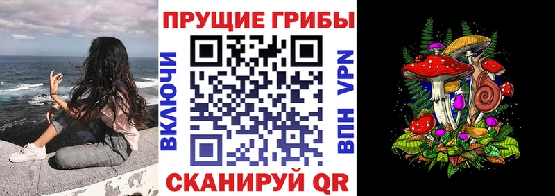 ОМГ ОМГ рабочий сайт Минеральные Воды Псилоцибиновые грибы Psilocybe