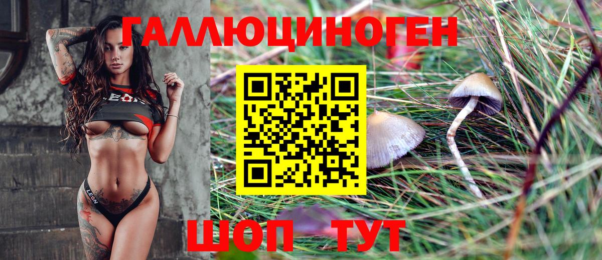 Псилоцибиновые грибы GOLDEN TEACHER Минеральные Воды