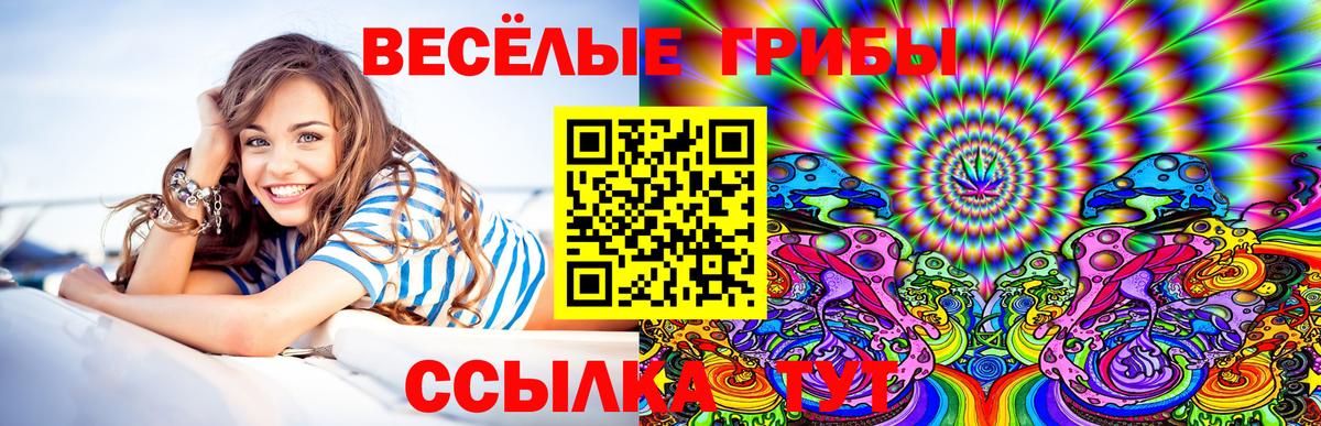 Псилоцибиновые грибы ЛСД  Вход с VPN  Минеральные Воды 